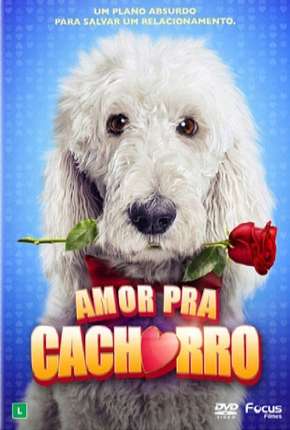 Amor Pra Cachorro 2015