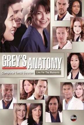 Greys Anatomy - 10ª Temporada - Completa 2013