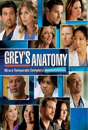 Greys Anatomy - 8ª Temporada - Completa 2011