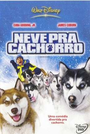 Neve pra Cachorro 2002