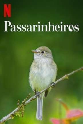 Passarinheiros - Birders 2020