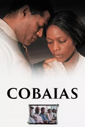 Cobaias 