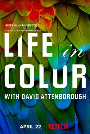 A Vida em Cores com David Attenborough - 1ª Temporada Completa 2021