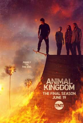 Animal Kingdom - 5ª Temporada Legendada 2021