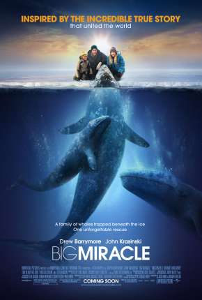 O Grande Milagre - Big Miracle 2012