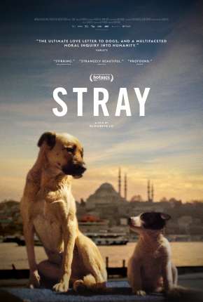 Stray - 2021 Legendado Torrent