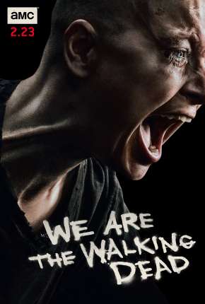 The Walking Dead - 11ª Temporada Torrent