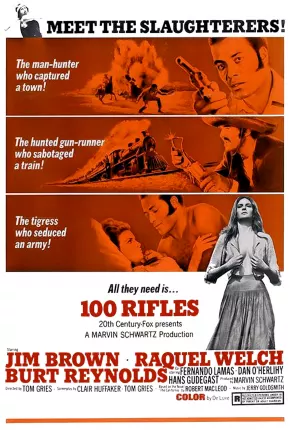 100 Rifles 1969