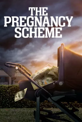 The Pregnancy Scheme - Legendado 2023