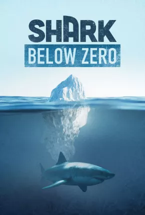 Shark Below Zero 2023