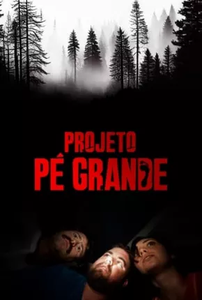 Projeto Pé Grande 2018