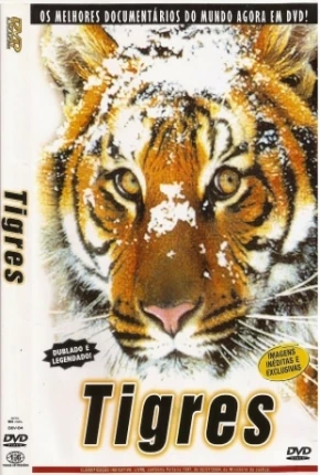 Tigres / Na Sombra do Tigre 1999