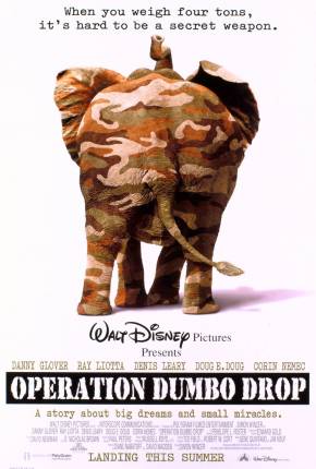 Operação Dumbo 1995