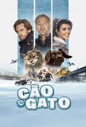 Cão e Gato 2024