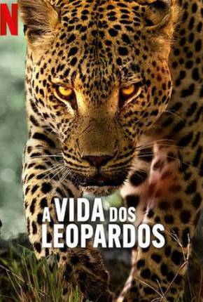 A Vida dos Leopardos 2024