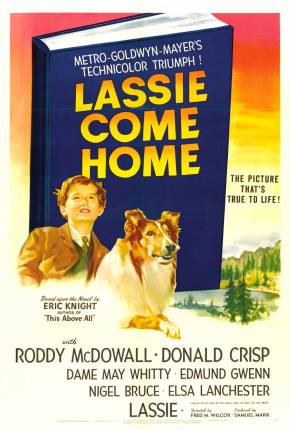 Lassie - A Força do Coração 1943