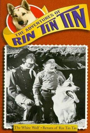 As Aventuras de Rin Tin Tin - 1ª Temporada 1954