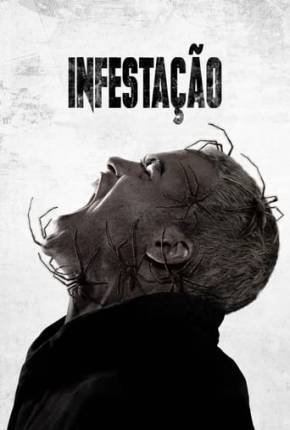 Infestação 2024